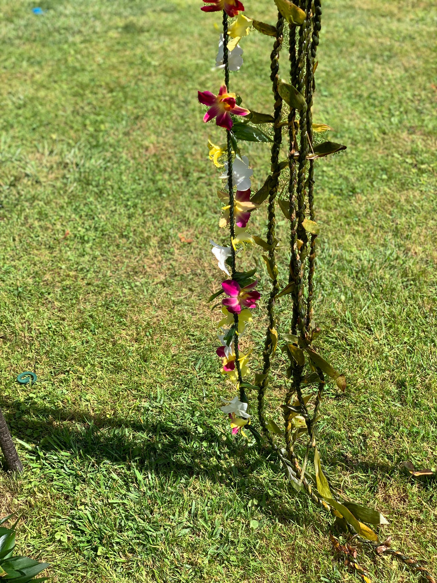 Ti Leaf Leis