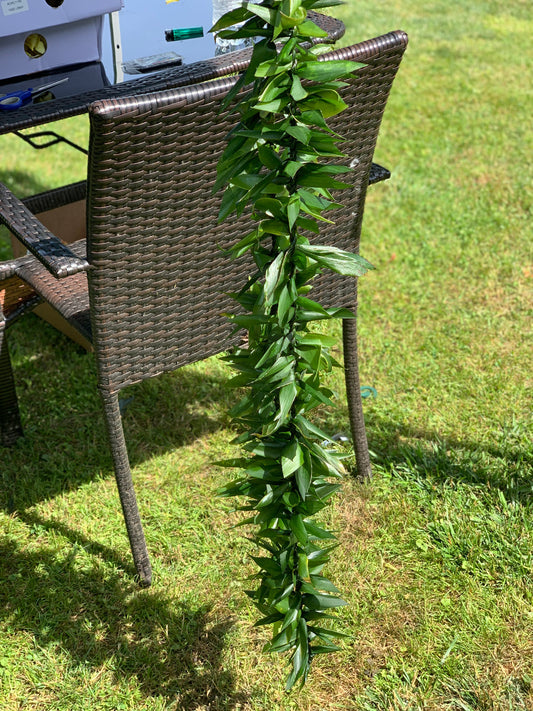 Ti Leaf Leis